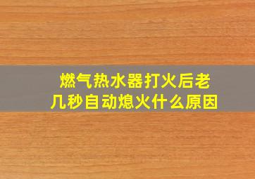 燃气热水器打火后老几秒自动熄火什么原因