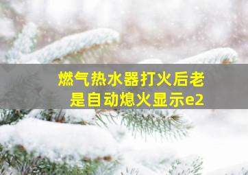 燃气热水器打火后老是自动熄火显示e2