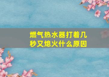 燃气热水器打着几秒又熄火什么原因