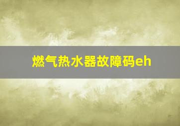 燃气热水器故障码eh