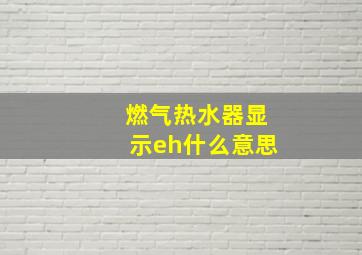 燃气热水器显示eh什么意思