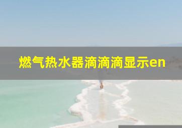 燃气热水器滴滴滴显示en