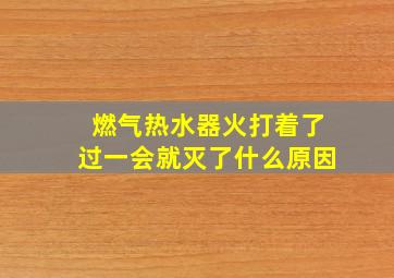 燃气热水器火打着了过一会就灭了什么原因