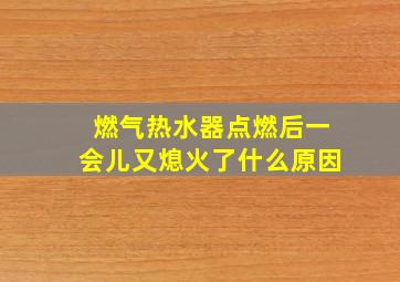 燃气热水器点燃后一会儿又熄火了什么原因