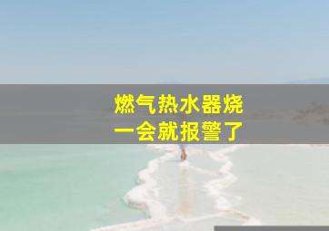 燃气热水器烧一会就报警了