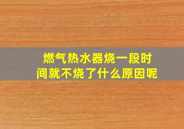 燃气热水器烧一段时间就不烧了什么原因呢