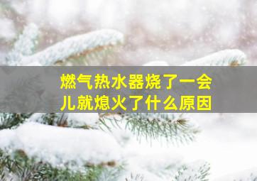 燃气热水器烧了一会儿就熄火了什么原因