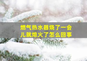 燃气热水器烧了一会儿就熄火了怎么回事