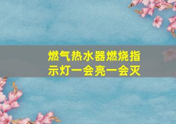 燃气热水器燃烧指示灯一会亮一会灭