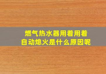 燃气热水器用着用着自动熄火是什么原因呢