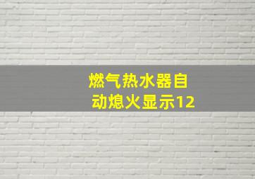 燃气热水器自动熄火显示12