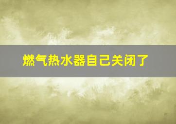 燃气热水器自己关闭了