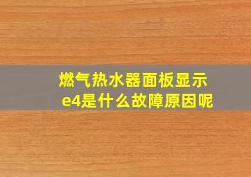 燃气热水器面板显示e4是什么故障原因呢