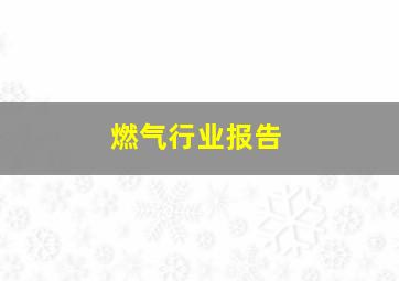 燃气行业报告