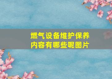 燃气设备维护保养内容有哪些呢图片