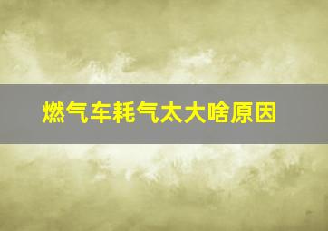 燃气车耗气太大啥原因