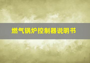 燃气锅炉控制器说明书