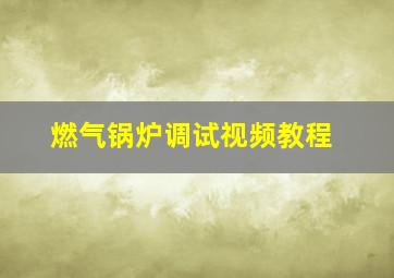 燃气锅炉调试视频教程