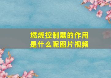 燃烧控制器的作用是什么呢图片视频