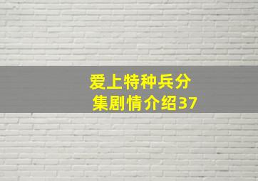 爱上特种兵分集剧情介绍37