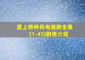 爱上特种兵电视剧全集(1-45)剧情介绍