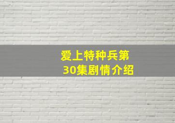 爱上特种兵第30集剧情介绍