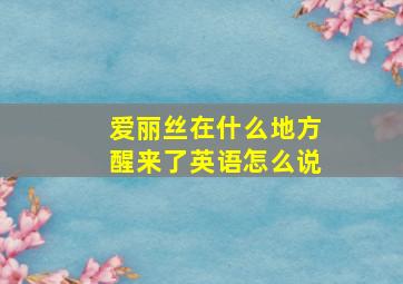 爱丽丝在什么地方醒来了英语怎么说