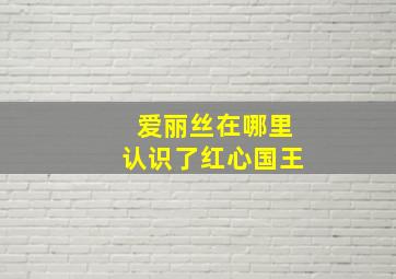 爱丽丝在哪里认识了红心国王