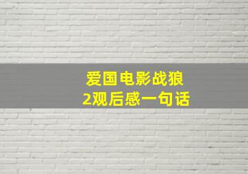 爱国电影战狼2观后感一句话