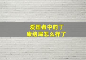 爱国者中的丁康结局怎么样了