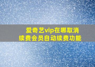 爱奇艺vip在哪取消续费会员自动续费功能