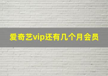 爱奇艺vip还有几个月会员