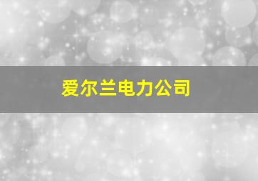 爱尔兰电力公司