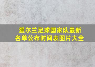 爱尔兰足球国家队最新名单公布时间表图片大全