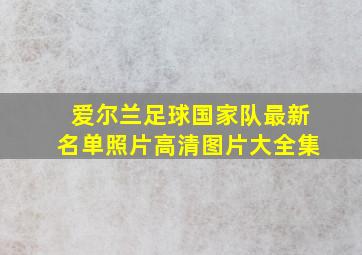 爱尔兰足球国家队最新名单照片高清图片大全集