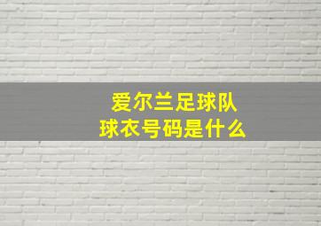 爱尔兰足球队球衣号码是什么