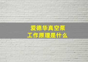 爱德华真空泵工作原理是什么