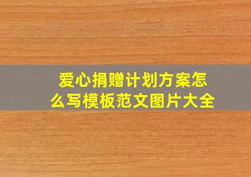 爱心捐赠计划方案怎么写模板范文图片大全