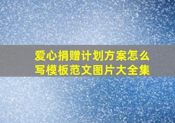 爱心捐赠计划方案怎么写模板范文图片大全集