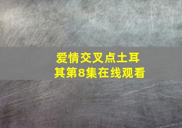 爱情交叉点土耳其第8集在线观看