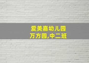 爱美嘉幼儿园万方园,中二班