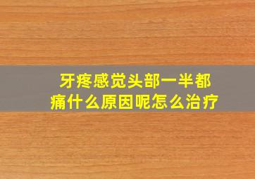 牙疼感觉头部一半都痛什么原因呢怎么治疗