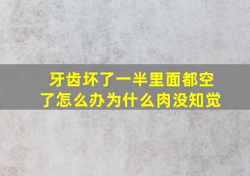 牙齿坏了一半里面都空了怎么办为什么肉没知觉