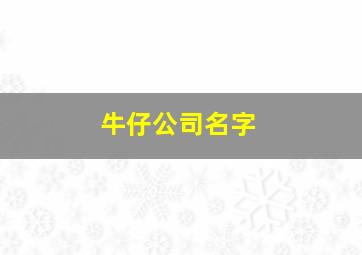 牛仔公司名字