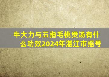 牛大力与五指毛桃煲汤有什么功效2024年湛江市摇号