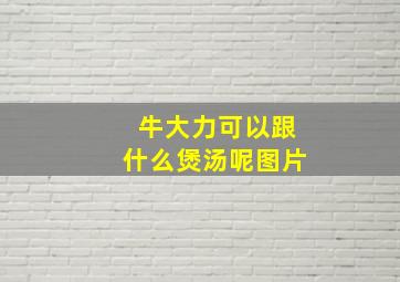 牛大力可以跟什么煲汤呢图片