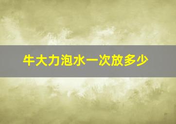 牛大力泡水一次放多少