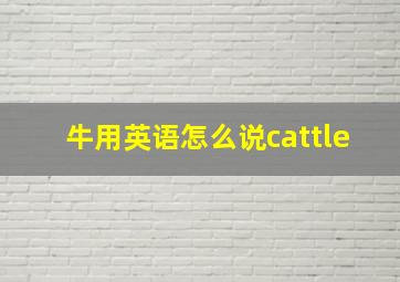 牛用英语怎么说cattle