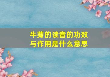 牛蒡的读音的功效与作用是什么意思