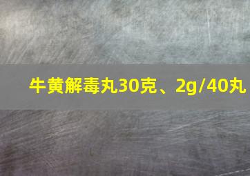 牛黄解毒丸30克、2g/40丸